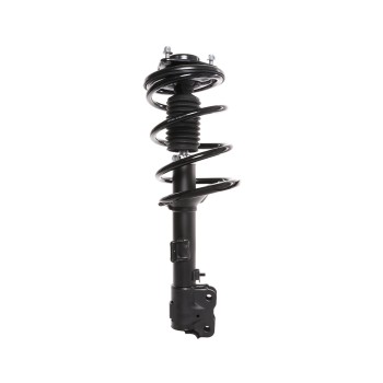 Suspension Strut and Coil Spring Assembly
