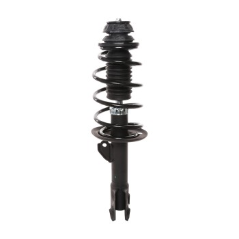 Suspension Strut and Coil Spring Assembly