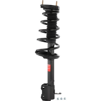 Suspension Strut and Coil Spring Assembly