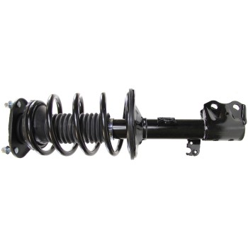 Suspension Strut and Coil Spring Assembly