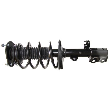 Suspension Strut and Coil Spring Assembly