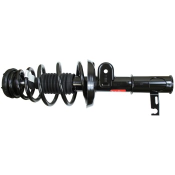 Suspension Strut and Coil Spring Assembly