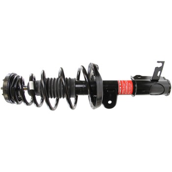 Suspension Strut and Coil Spring Assembly