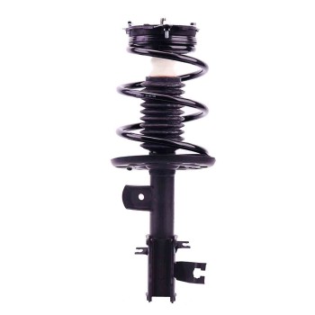 Suspension Strut and Coil Spring Assembly