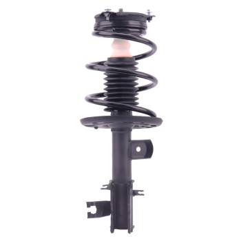 Suspension Strut and Coil Spring Assembly
