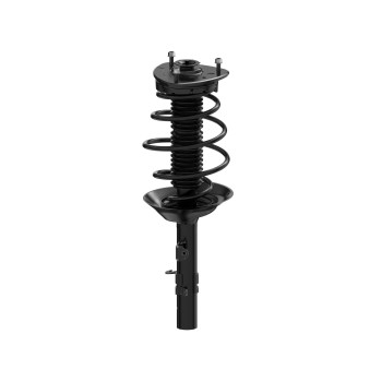 Suspension Strut and Coil Spring Assembly