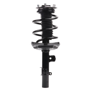 Suspension Strut and Coil Spring Assembly