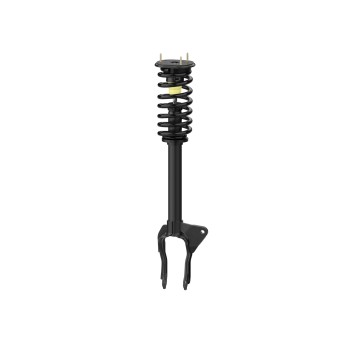 Suspension Strut and Coil Spring Assembly