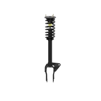 Suspension Strut and Coil Spring Assembly