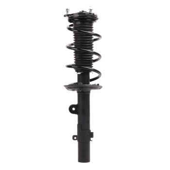 Suspension Strut and Coil Spring Assembly