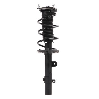 Suspension Strut and Coil Spring Assembly