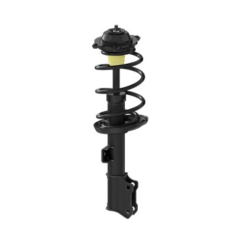 Suspension Strut and Coil Spring Assembly