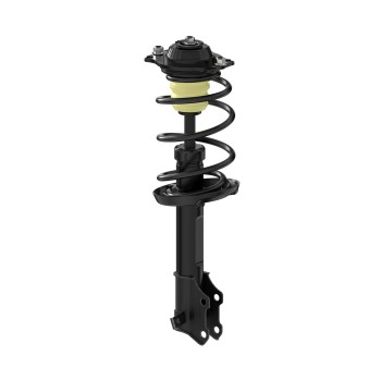 Suspension Strut and Coil Spring Assembly