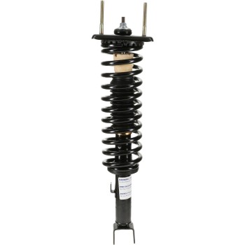 Suspension Strut and Coil Spring Assembly