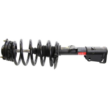 Suspension Strut and Coil Spring Assembly