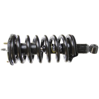 Suspension Strut and Coil Spring Assembly
