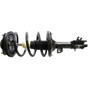 Suspension Strut and Coil Spring Assembly