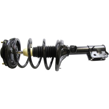 Suspension Strut and Coil Spring Assembly