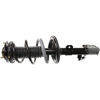 Suspension Strut and Coil Spring Assembly