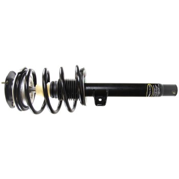 Suspension Strut and Coil Spring Assembly