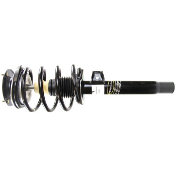 Suspension Strut and Coil Spring Assembly