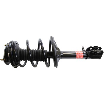 Suspension Strut and Coil Spring Assembly