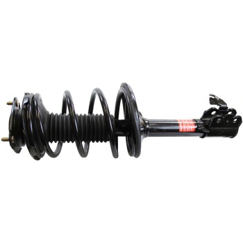 Suspension Strut and Coil Spring Assembly