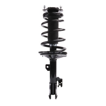 Suspension Strut and Coil Spring Assembly