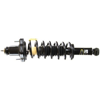 Suspension Strut and Coil Spring Assembly