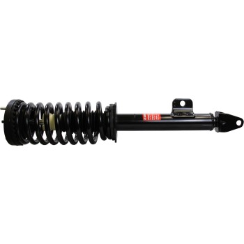 Suspension Strut and Coil Spring Assembly