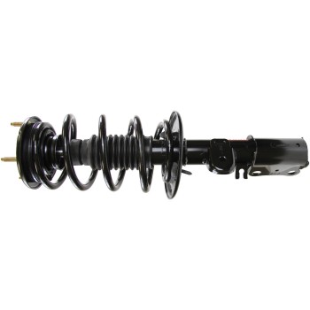 Suspension Strut and Coil Spring Assembly