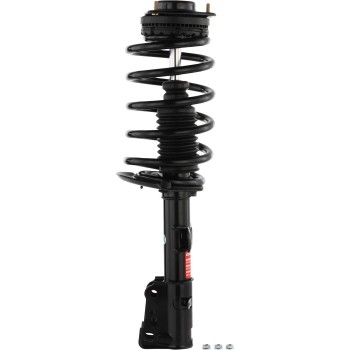 Suspension Strut and Coil Spring Assembly