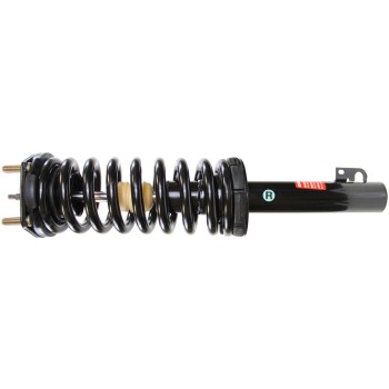 Suspension Strut and Coil Spring Assembly