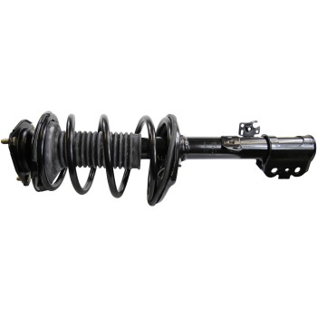 Suspension Strut and Coil Spring Assembly
