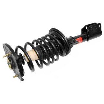 Suspension Strut and Coil Spring Assembly