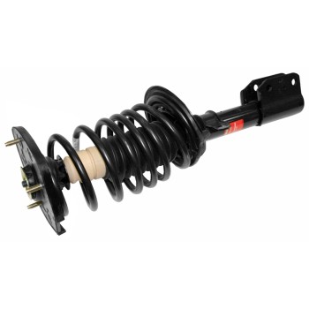 Suspension Strut and Coil Spring Assembly