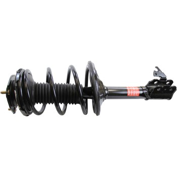 Suspension Strut and Coil Spring Assembly