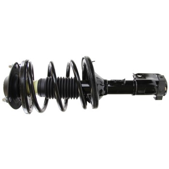 Suspension Strut and Coil Spring Assembly
