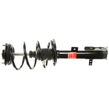 Suspension Strut and Coil Spring Assembly