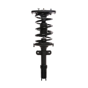 Suspension Strut and Coil Spring Assembly