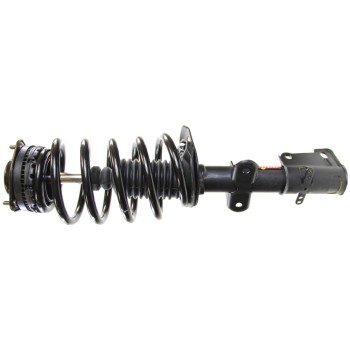 Suspension Strut and Coil Spring Assembly