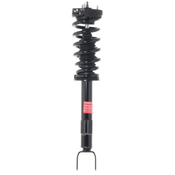Suspension Strut and Coil Spring Assembly