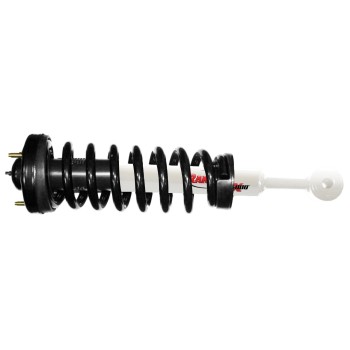Suspension Strut and Coil Spring Assembly
