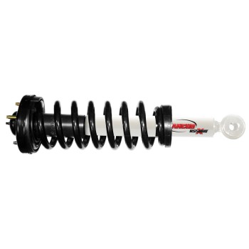 Suspension Strut and Coil Spring Assembly