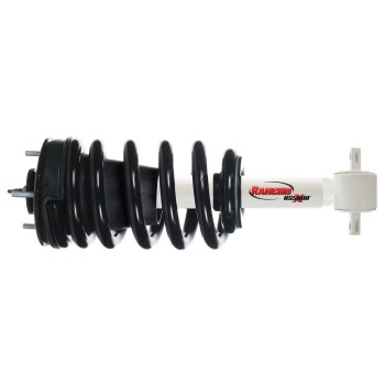 Suspension Strut and Coil Spring Assembly