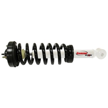 Suspension Strut and Coil Spring Assembly