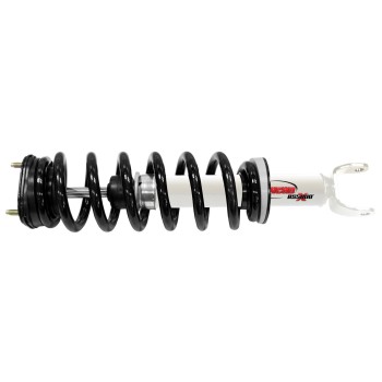 Suspension Strut and Coil Spring Assembly