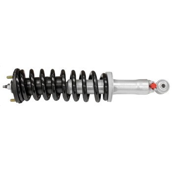 Suspension Strut and Coil Spring Assembly