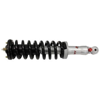 Suspension Strut and Coil Spring Assembly
