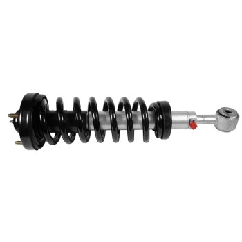 Suspension Strut and Coil Spring Assembly